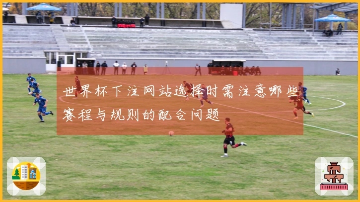 世界杯下注网站选择时需注意哪些赛程与规则的配合问题