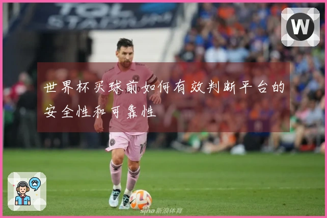 世界杯买球前如何有效判断平台的安全性和可靠性