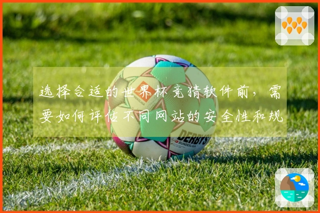 选择合适的世界杯竞猜软件前,需要如何评估不同网站的安全性和规则?