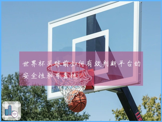 世界杯买球前如何有效判断平台的安全性和可靠性