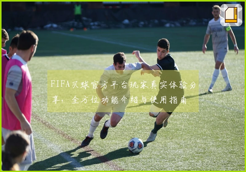FIFA买球官方平台玩家真实体验分享，全方位功能介绍与使用指南