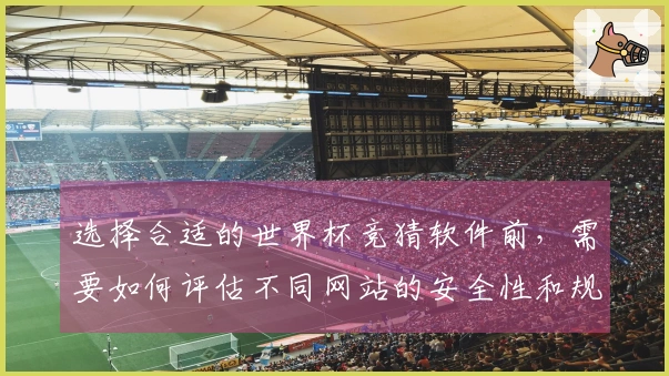 选择合适的世界杯竞猜软件前，需要如何评估不同网站的安全性和规则？