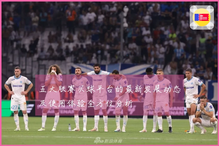 五大联赛买球平台的最新发展动态及使用体验全方位分析
