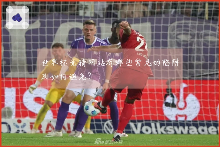 世界杯竞猜网站有哪些常见的陷阱及如何避免？